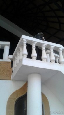 Кения - любовь моя)