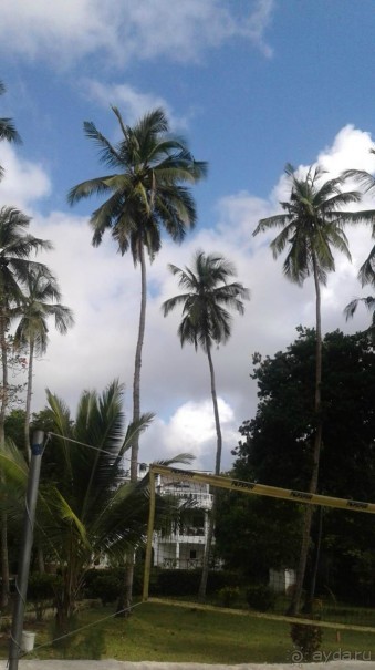 Кения - любовь моя)