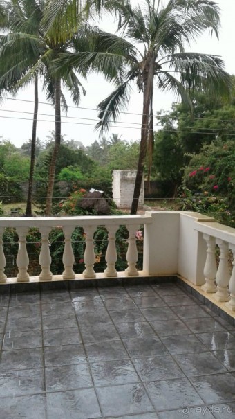 Кения - любовь моя)