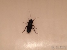 Отель ужасный. Очень не понравился.