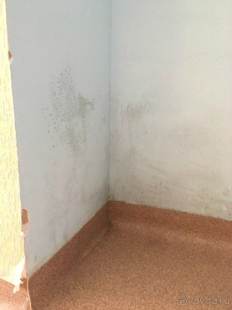 Отель ужасный. Очень не понравился.