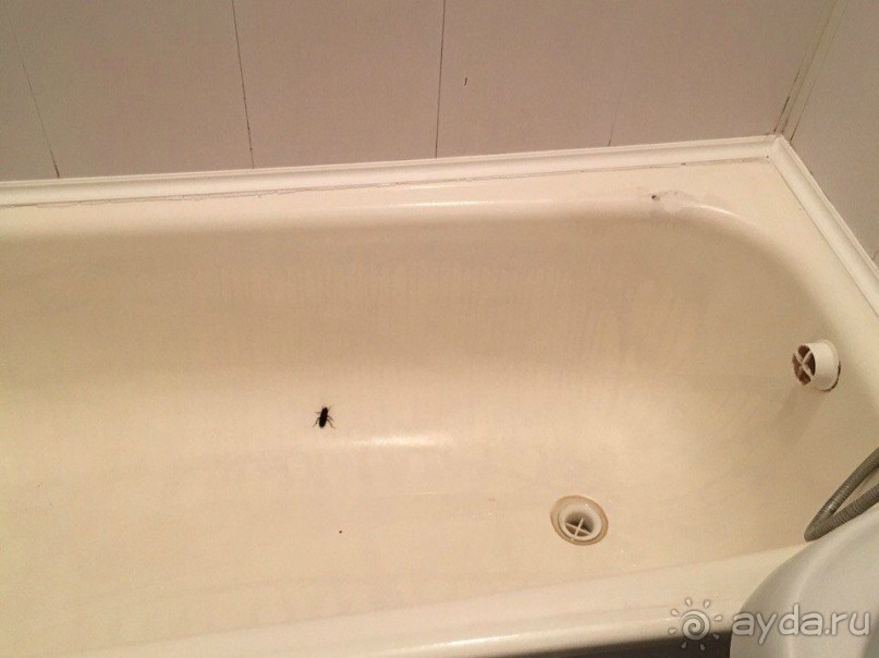 Отель ужасный. Очень не понравился.