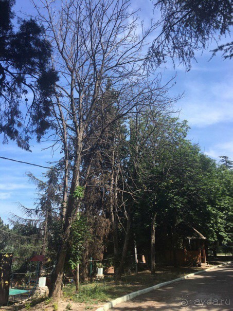 Отель ужасный. Очень не понравился.