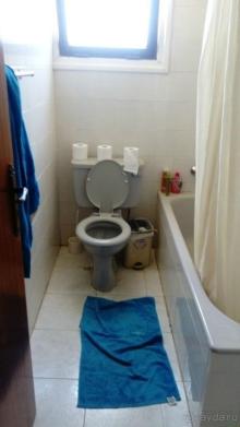 Windmills - ужас