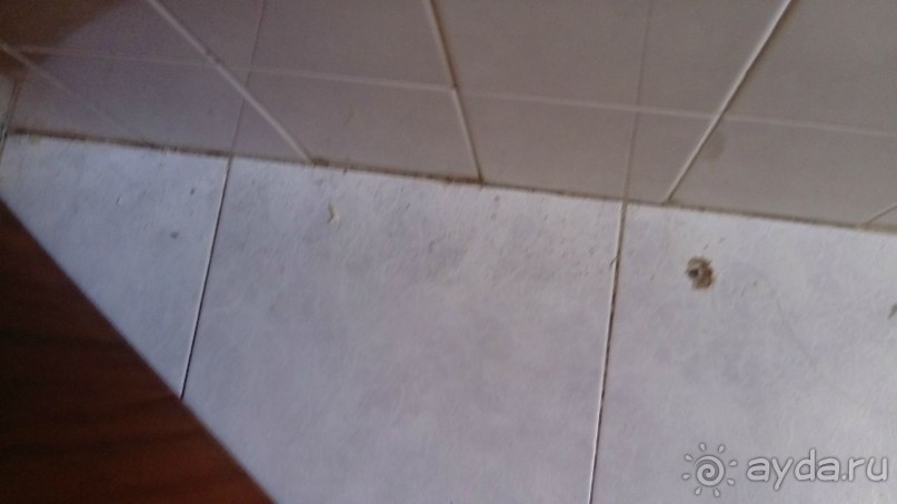 Windmills - ужас