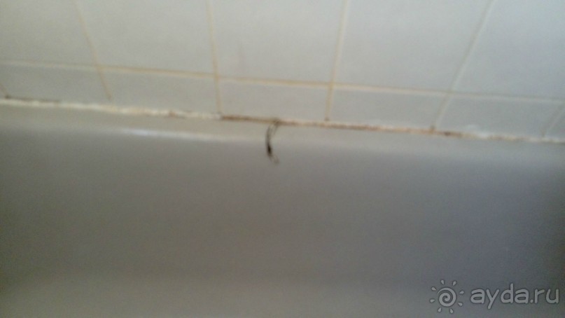 Windmills - ужас