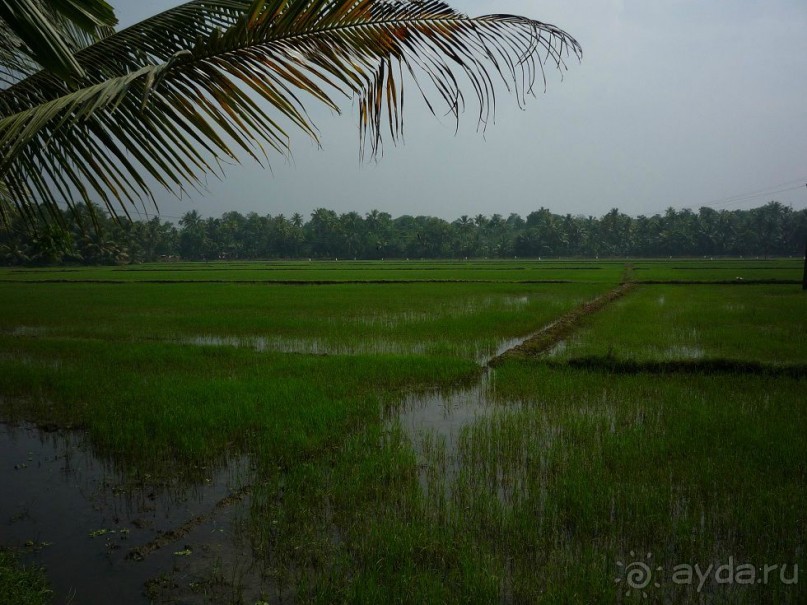Тихое место, для релакса и созерцания.