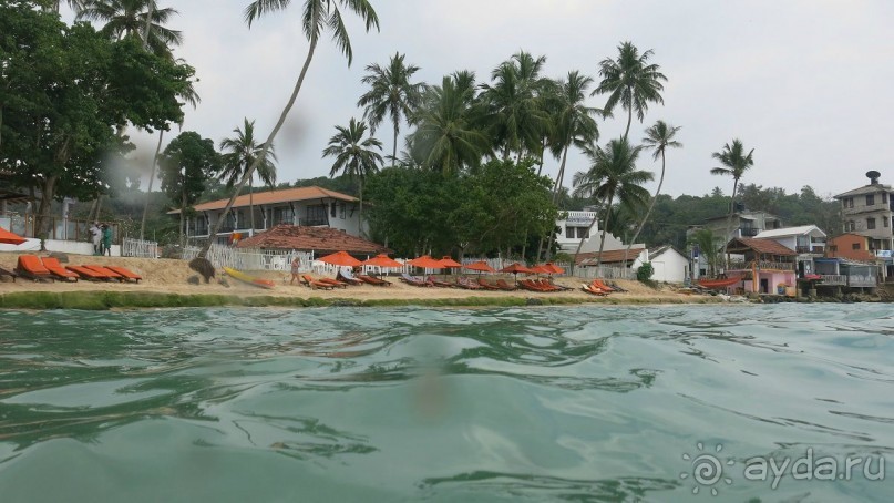 фото Unawatuna Beach Resort