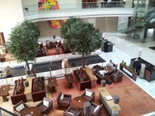 Городской отель с высоким уровнем обслуживания.