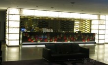 фото Hard Rock Hotel Pattaya