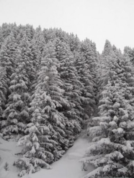 вполне приличные аппартаменты