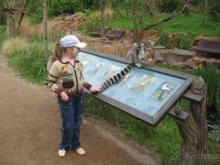 фото The Laguna Resort (ex. Sheraton Laguna)