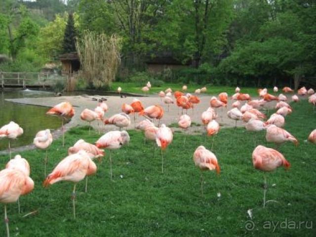 На 4* не тянет, слишком дорого для своего уровня