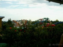 Отдых с ребенком в Геленджике