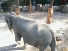 Отдых с ребенком в Геленджике