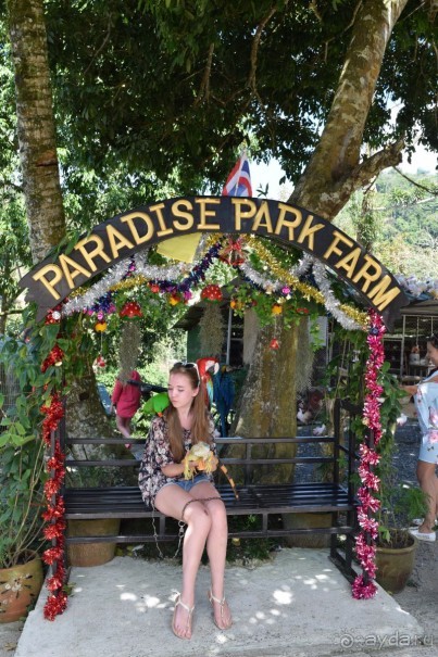 Путешествие на райский Самуи