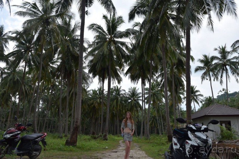 Путешествие на райский Самуи