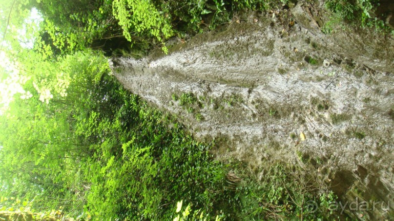Альбом отзыва "Отдых в солнечной Лазаревской."