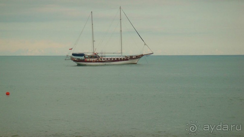 Отдых в солнечной Лазаревской.