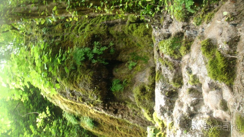 Отдых в солнечной Лазаревской.