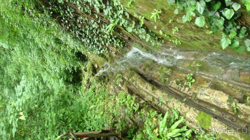 Отдых в солнечной Лазаревской.