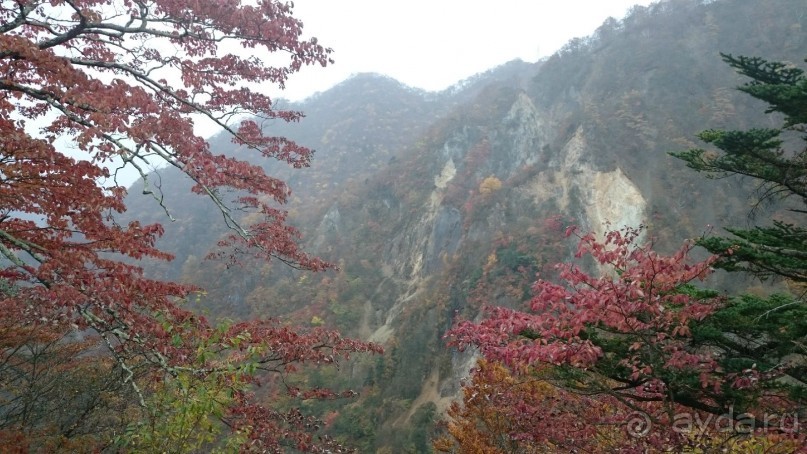 Поездка в Никко