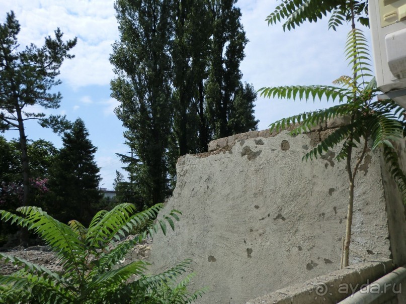 Прекрасный отдых в Грузии с плесенью на стенах  и на занавесках в  гостевом доме АННА