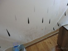 Прекрасный отдых в Грузии с плесенью на стенах  и на занавесках в  гостевом доме АННА