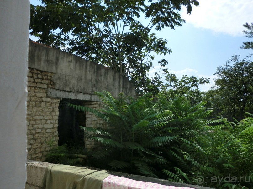 Прекрасный отдых в Грузии с плесенью на стенах  и на занавесках в  гостевом доме АННА