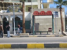 Из зимы в лето