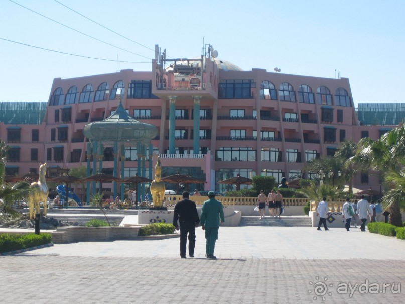 Из зимы в лето