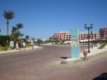 Из зимы в лето