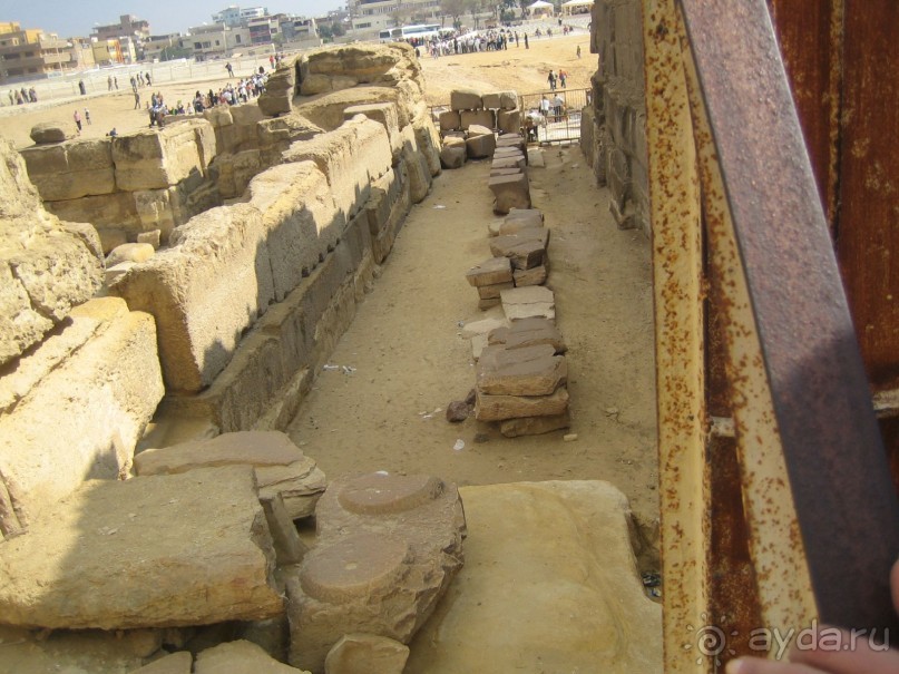 Из зимы в лето