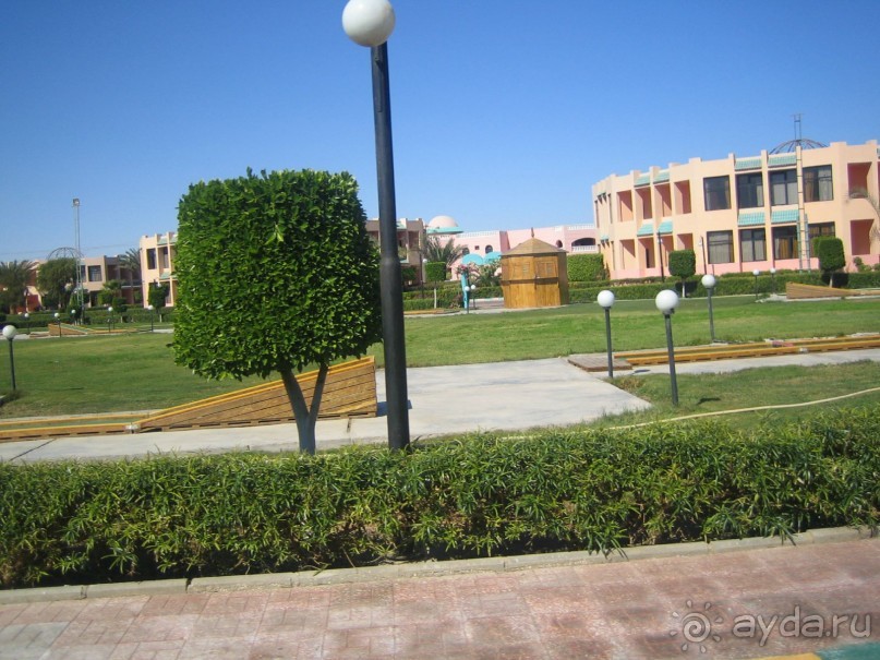 Из зимы в лето