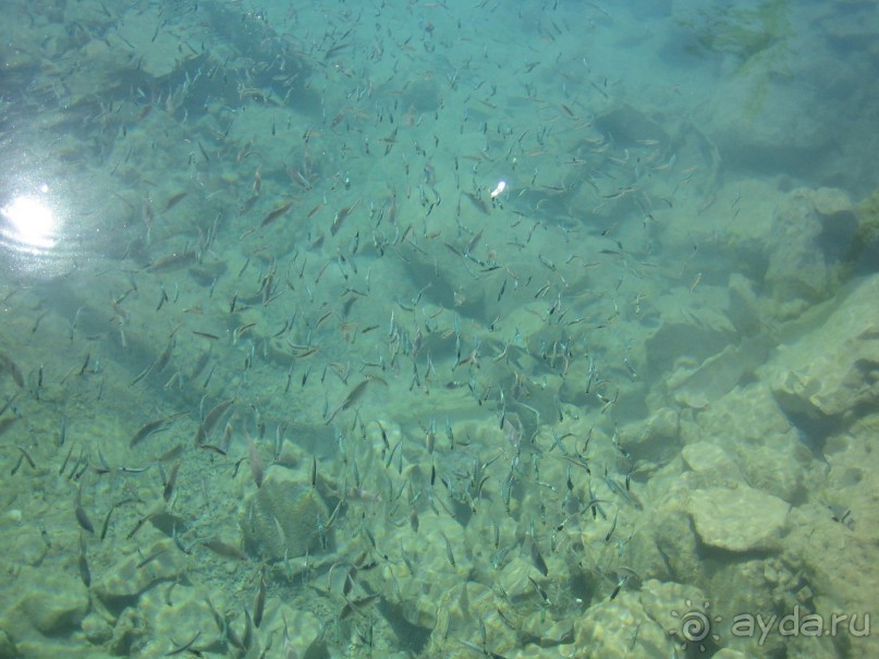 Из зимы в лето