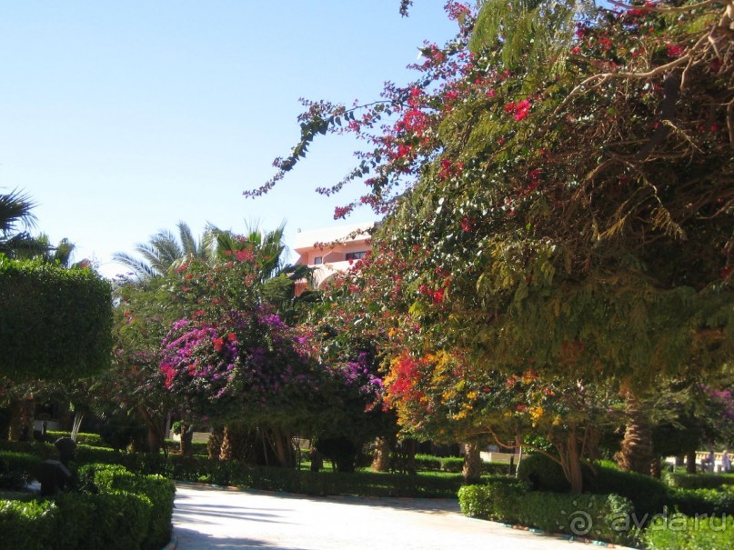 Из зимы в лето