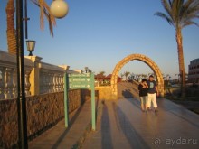 Из зимы в лето