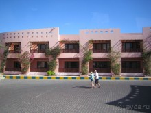 Из зимы в лето