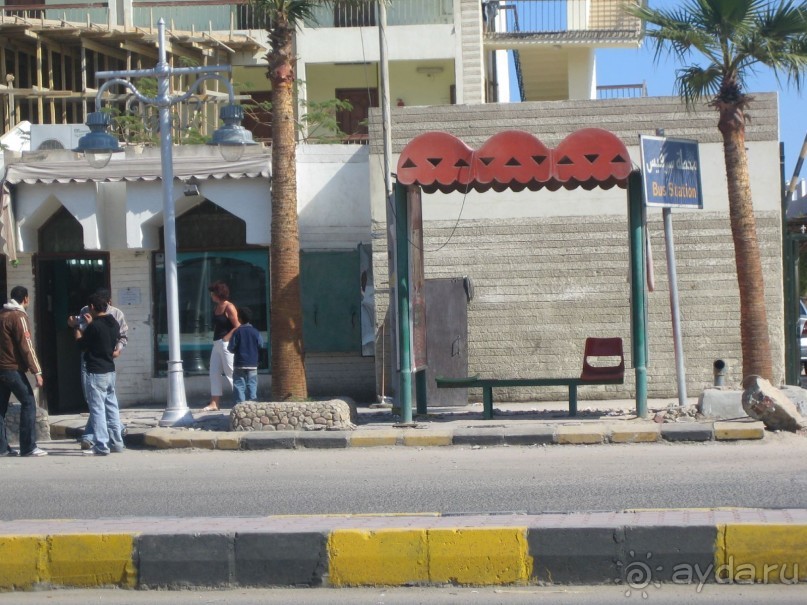 Из зимы в лето