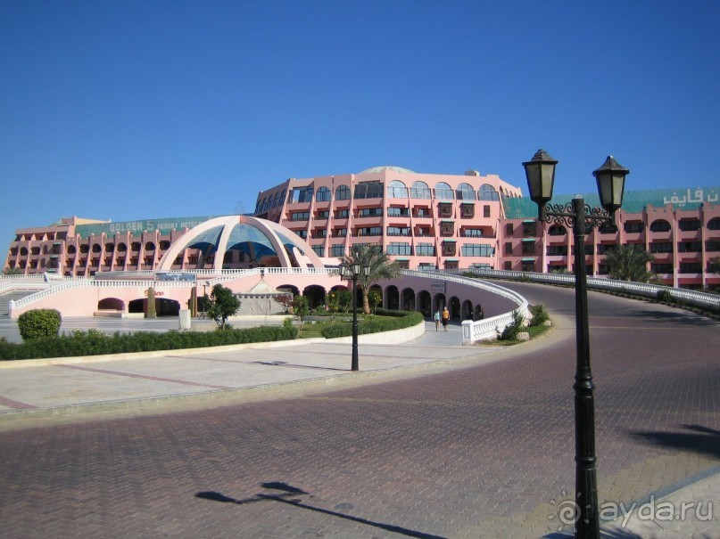 Из зимы в лето