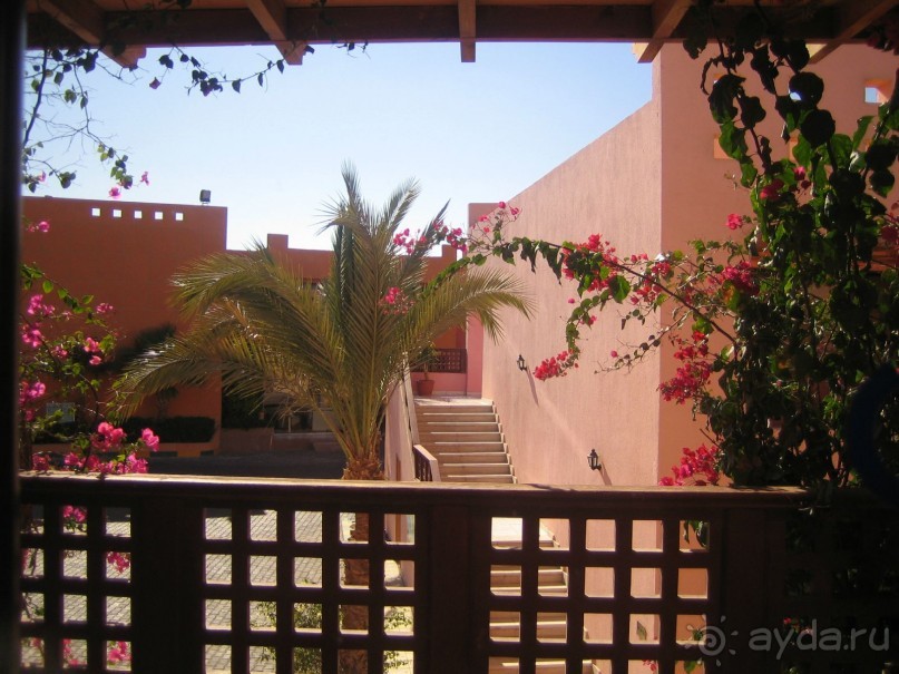 Из зимы в лето