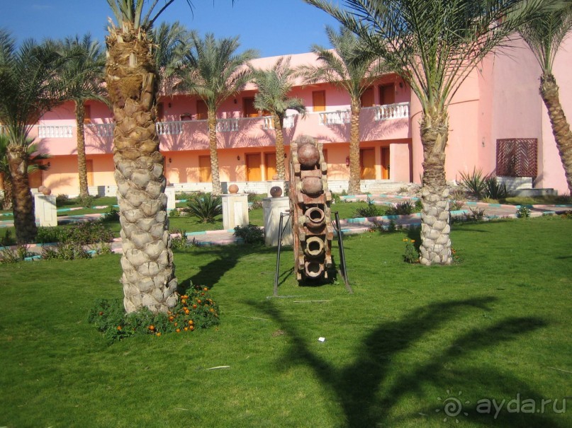 Из зимы в лето