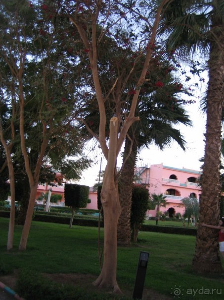 Из зимы в лето