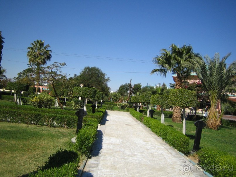 Из зимы в лето