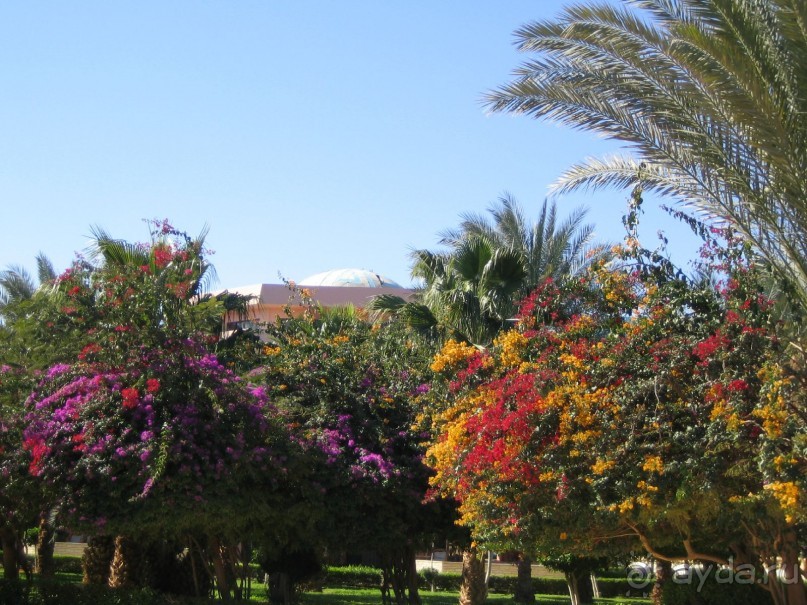 Из зимы в лето