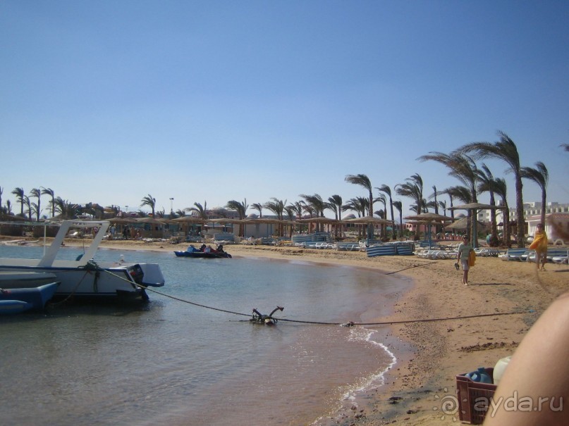 Из зимы в лето