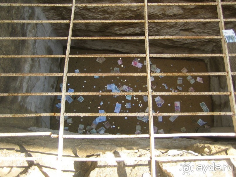 Из зимы в лето