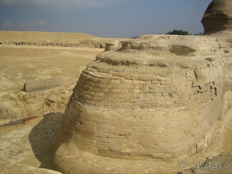 Из зимы в лето