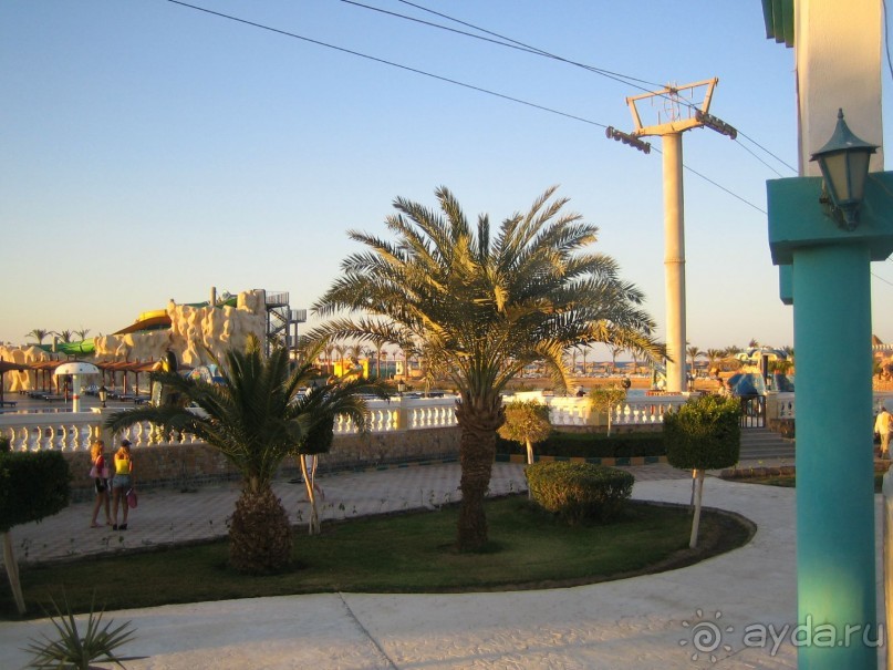 Из зимы в лето