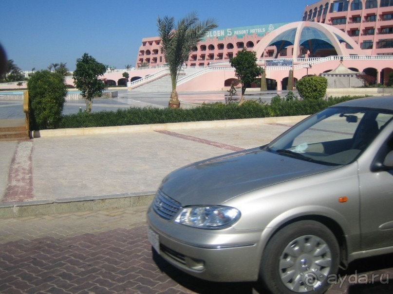 Из зимы в лето